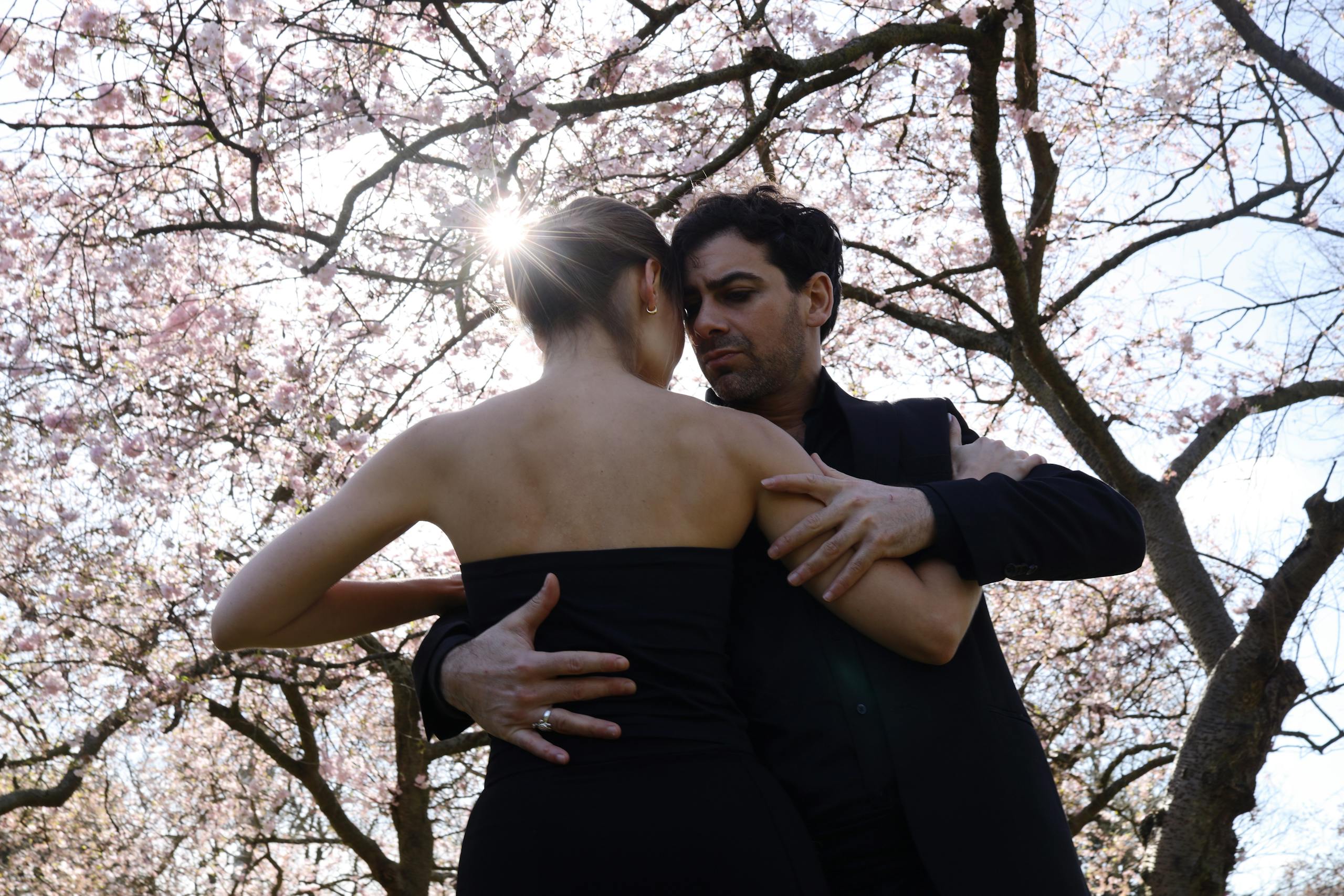 A couple dances gracefully under blooming cherry blossoms, capturing a moment of romance and tranquility.